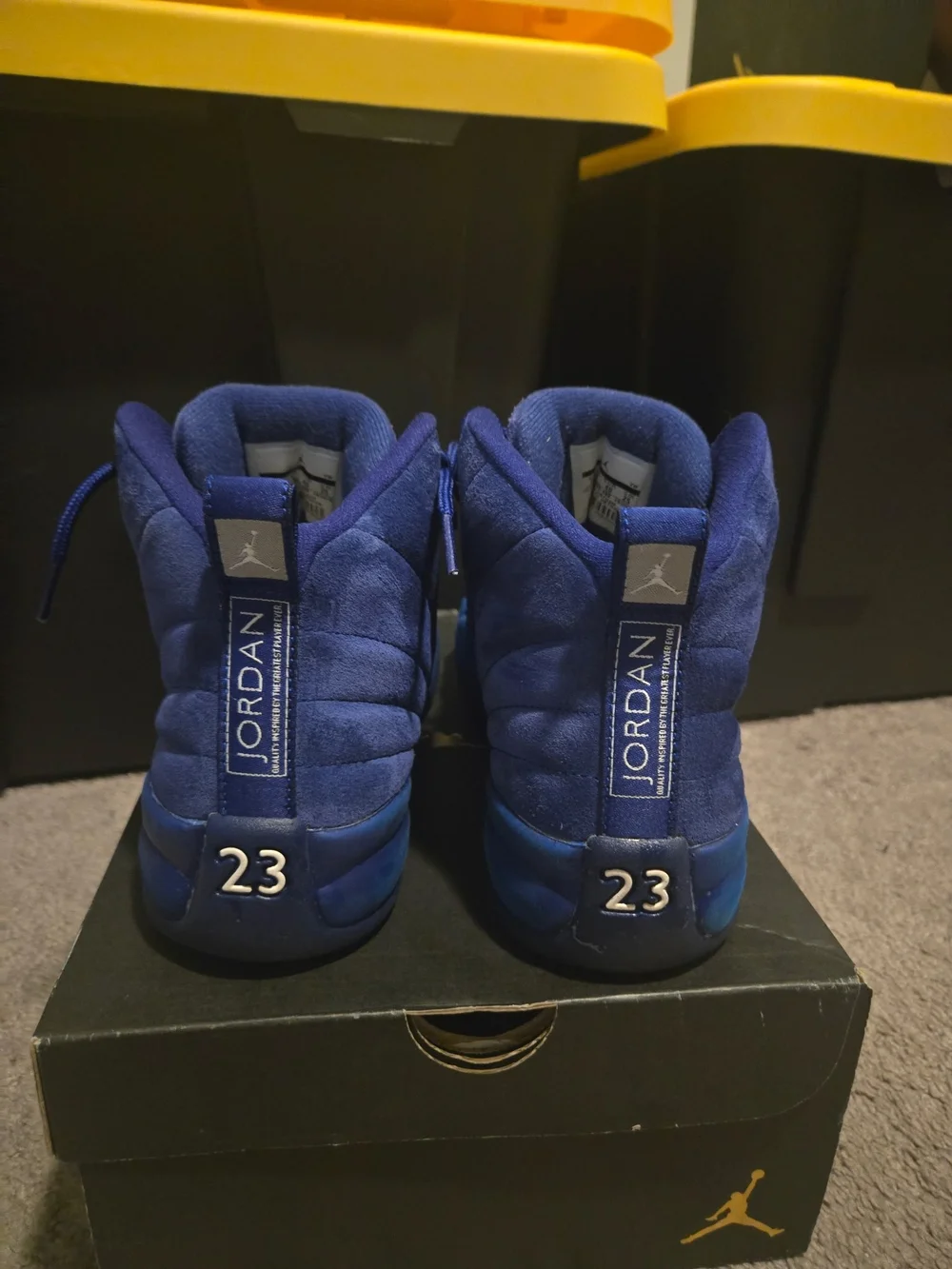 Air Jordan 12